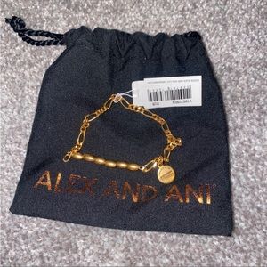 NWT Alex And Ani Vintage Sixty Six Gold Limited Edition Bracelet